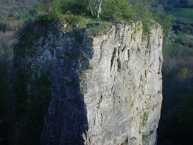 1048702966_2007090123BI